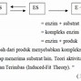 Alpha Amilase Adalah