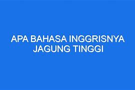 Apa Bahasa Inggrisnya Jagung Bakar